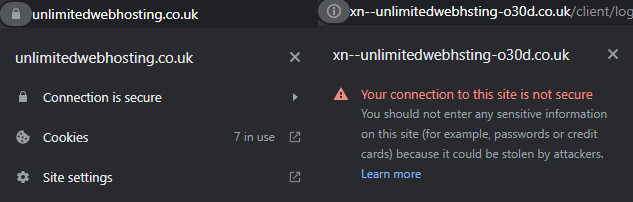 Browser address bar showing a punycode URL that visually resembles a legitimate domain